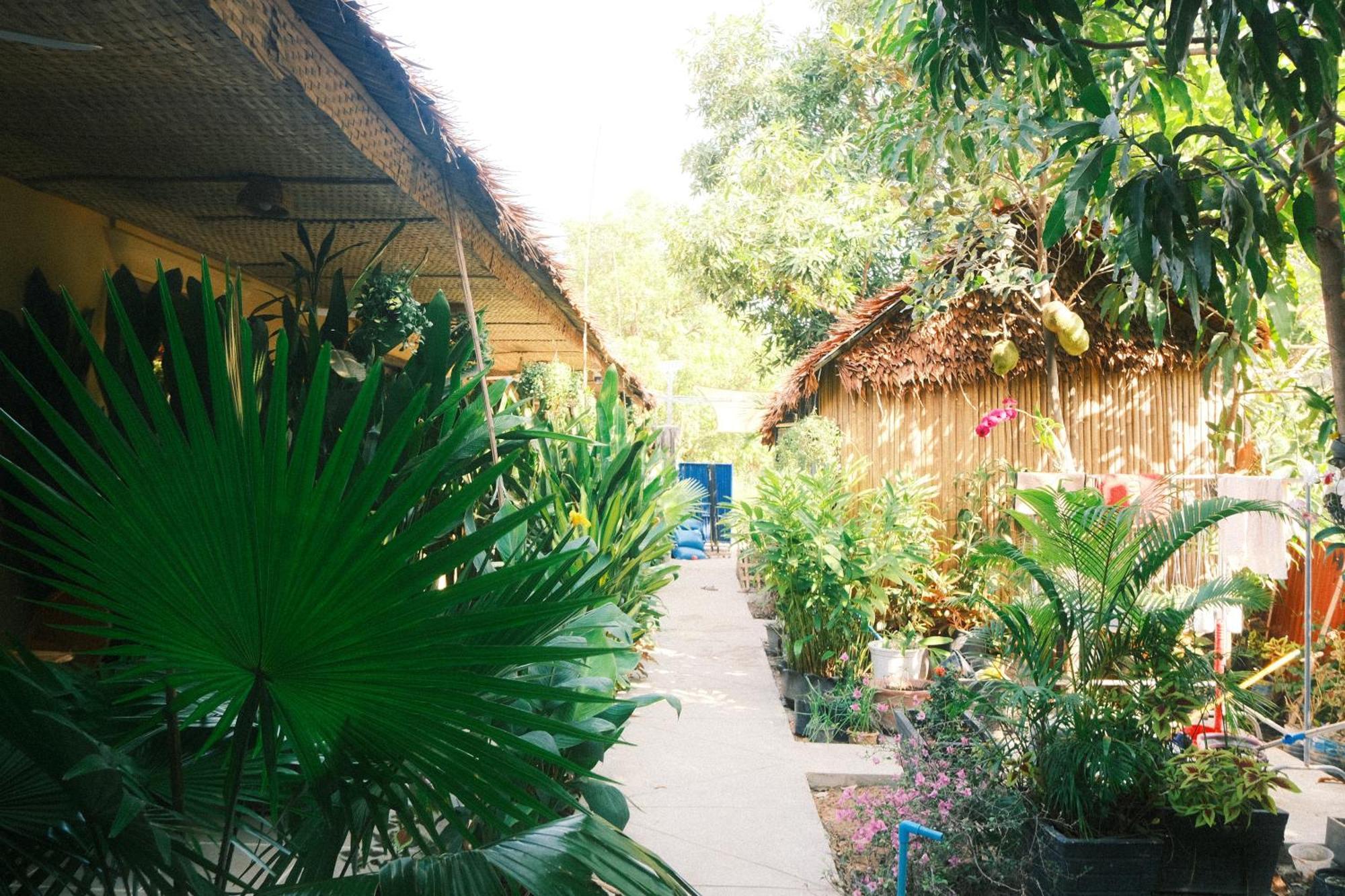 Siem Reap Homesteading エクステリア 写真