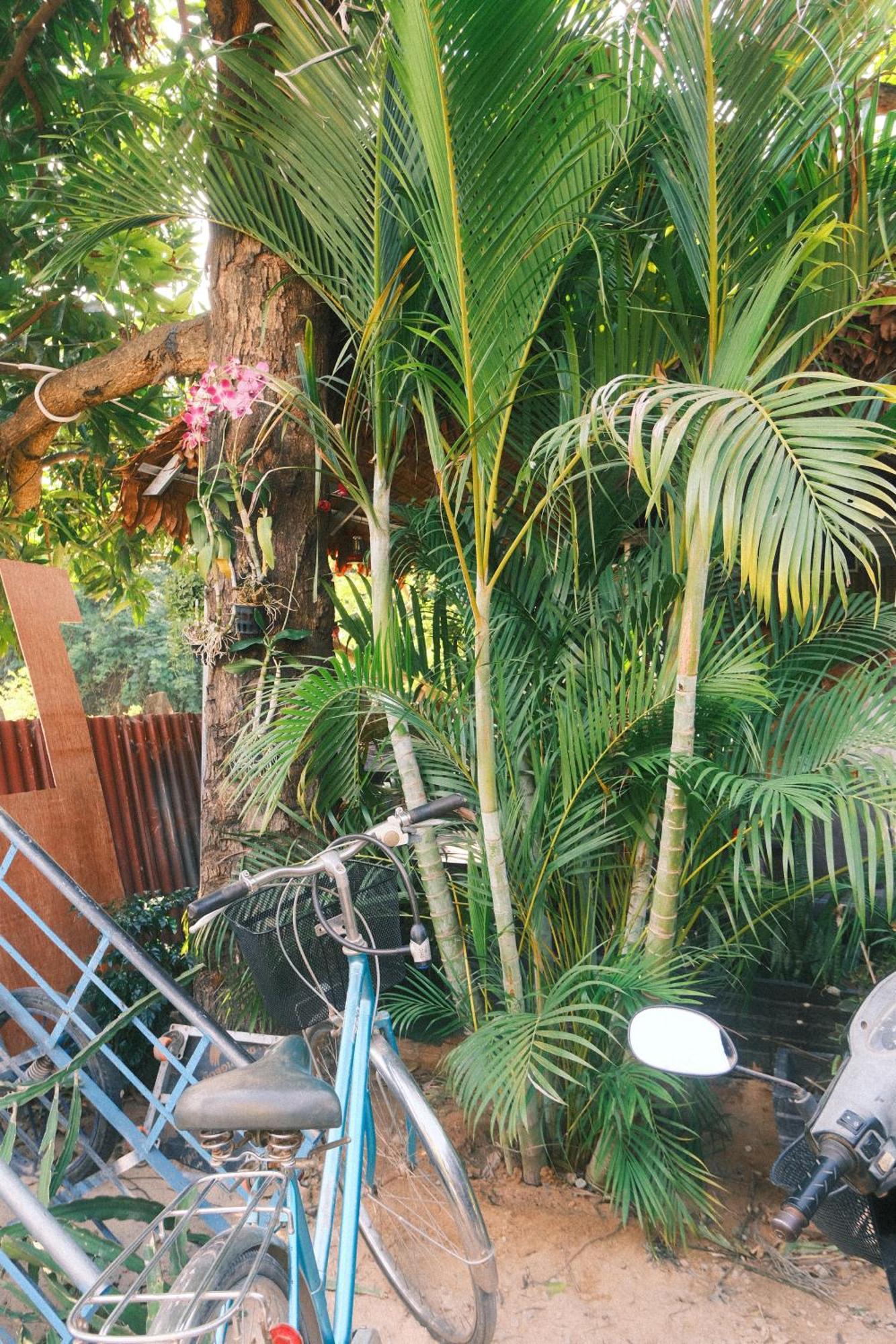 Siem Reap Homesteading エクステリア 写真