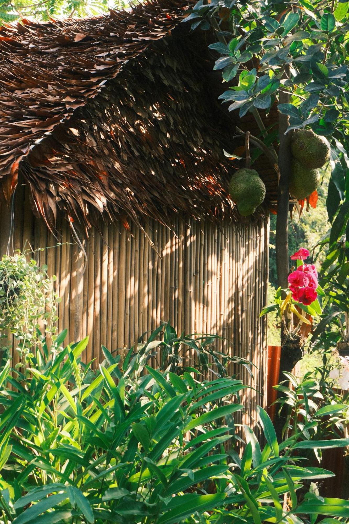 Siem Reap Homesteading エクステリア 写真